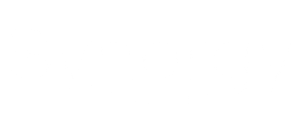 SynergyMavven-smallwhitelogo